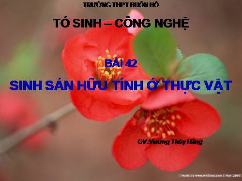 Bài 42. Sinh sản hữu tính ở thực vật