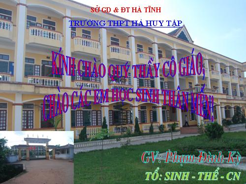 Bài 19. Tuần hoàn máu (tiếp theo)