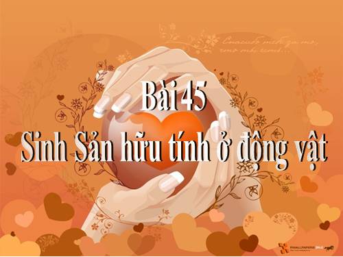 Bài 45. Sinh sản hữu tính ở động vật