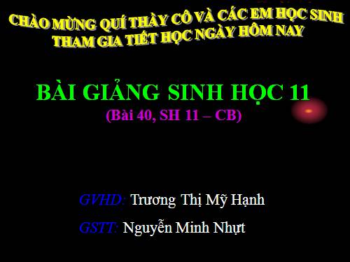 Bài 40. Thực hành: Xem phim về sinh trưởng và phát triển ở động vật