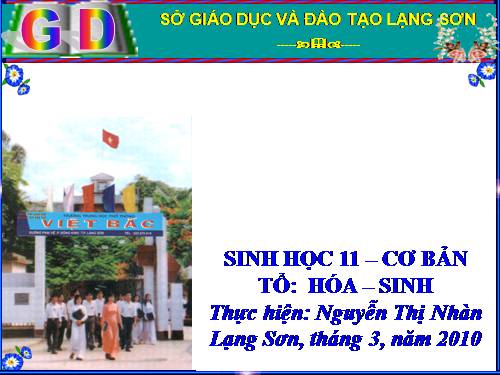 Bài 45. Sinh sản hữu tính ở động vật