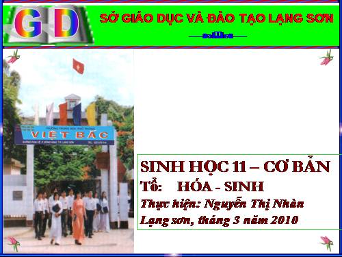 Bài 40. Thực hành: Xem phim về sinh trưởng và phát triển ở động vật