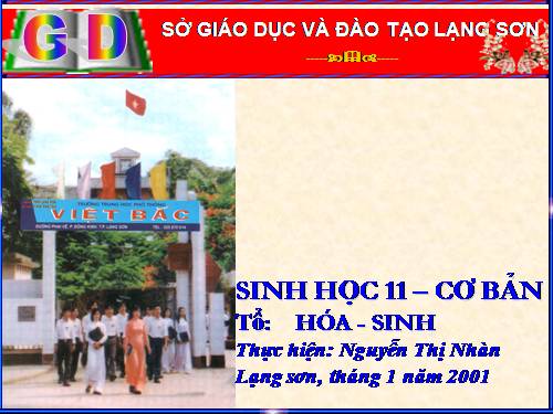 Bài 29. Điện thế hoạt động và sự lan truyền xung thần kinh