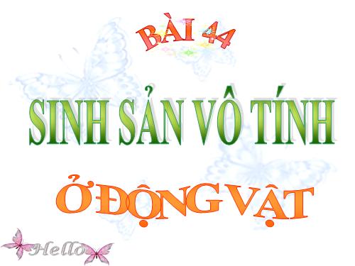 Bài 44. Sinh sản vô tính ở động vật