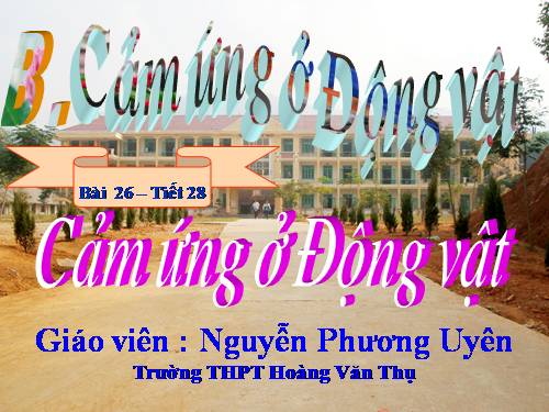 Bài 26. Cảm ứng ở động vật