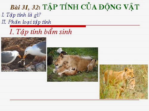 Bài 31. Tập tính của động vật