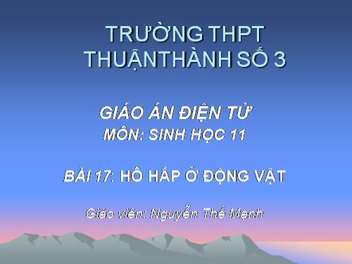 Bài 17. Hô hấp ở động vật