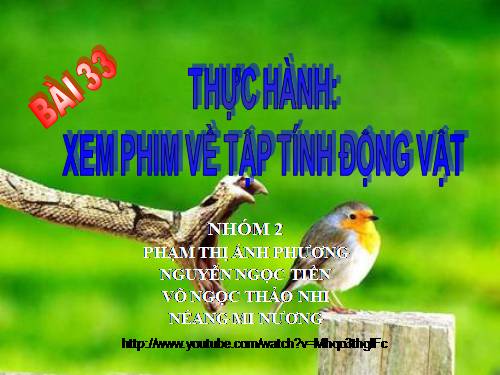 Bài 33. Thực hành: Xem phim về tập tính của động vật