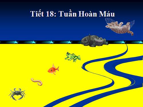 Bài 18. Tuần hoàn máu