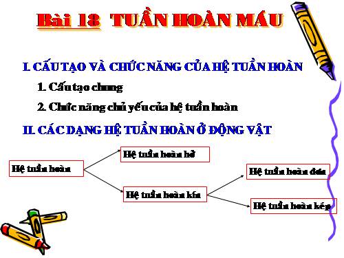 Bài 18. Tuần hoàn máu