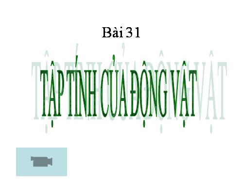 Bài 31. Tập tính của động vật