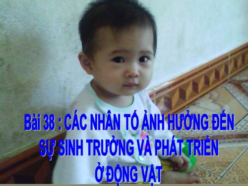 Bài 38. Các nhân tố ảnh hưởng đến sinh trưởng và phát triển ở động vật