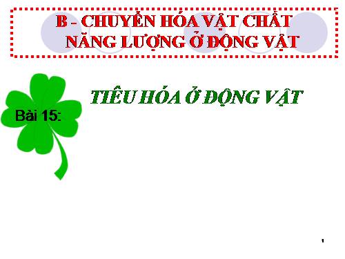 Bài 15. Tiêu hoá ở động vật