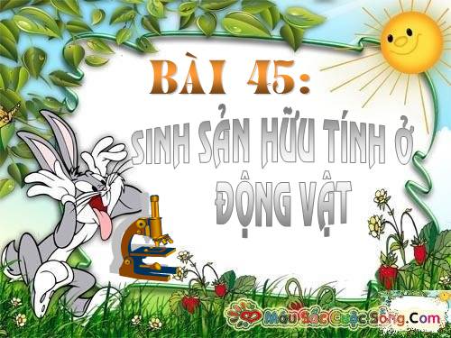 Bài 45. Sinh sản hữu tính ở động vật