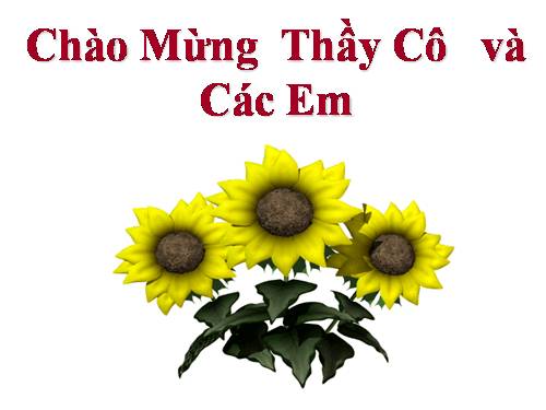 Bài 36. Phát triển ở thực vật có hoa