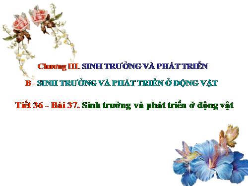 Bài 37. Sinh trưởng và phát triển ở động vật