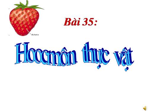 Bài 35. Hoocmôn thực vật