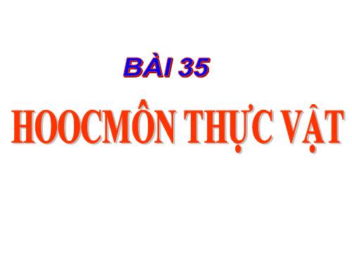 Bài 35. Hoocmôn thực vật