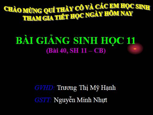 Bài 40. Thực hành: Xem phim về sinh trưởng và phát triển ở động vật