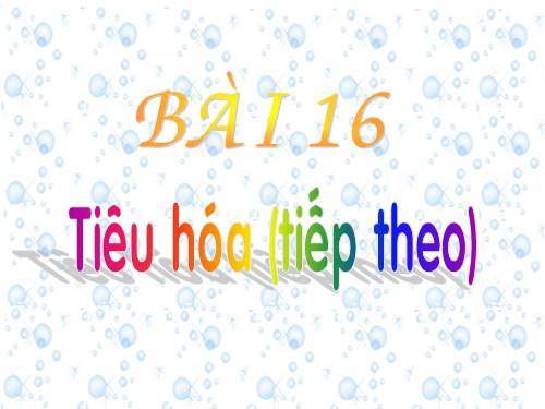 Bài 16. Tiêu hoá ở động vật (tiếp theo)