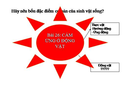 Bài 26. Cảm ứng ở động vật