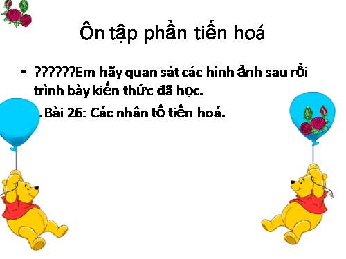 ON TAP BANG HINH ANH BAI 26-27-29-30 PHẦN TIẾN HOÁ