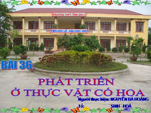 Bài 36. Phát triển ở thực vật có hoa