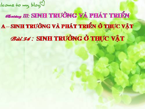 Bài 34. Sinh trưởng ở thực vật