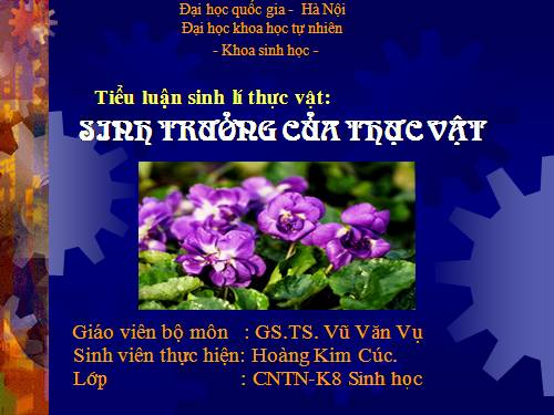 Bài 34. Sinh trưởng ở thực vật