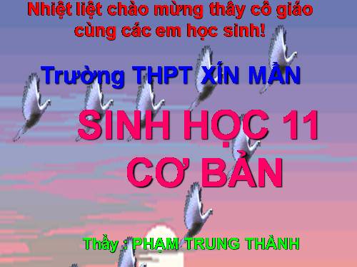 Bài 32. Tập tính của động vật (tiếp theo)