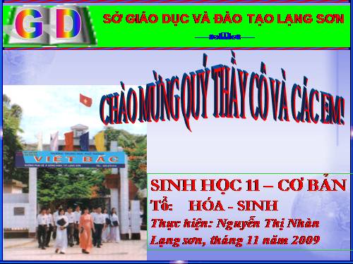 Bài 12. Hô hấp ở thực vật