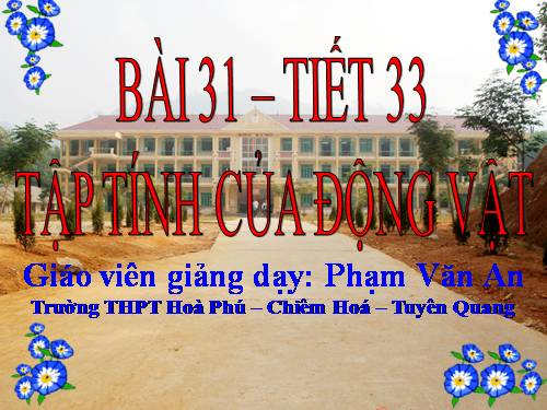 Bài 31. Tập tính của động vật