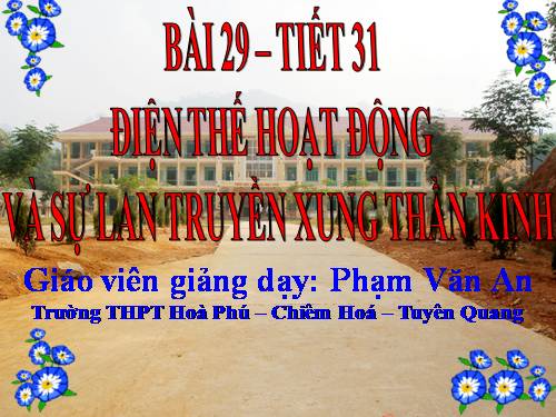 Bài 29. Điện thế hoạt động và sự lan truyền xung thần kinh