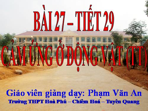 Bài 27. Cảm ứng ở động vật (tiếp theo)