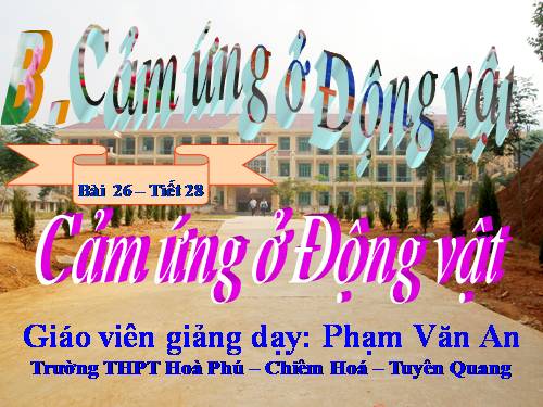 Bài 26. Cảm ứng ở động vật