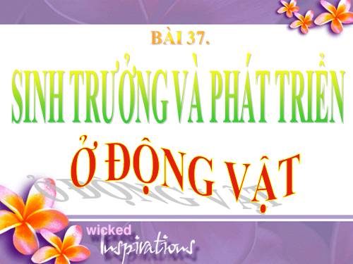 Bài 37. Sinh trưởng và phát triển ở động vật