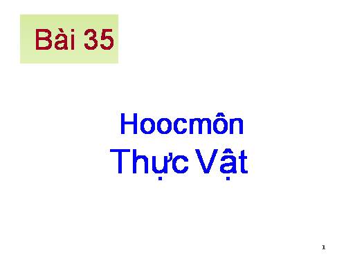 Bài 35. Hoocmôn thực vật