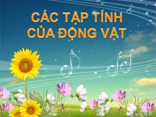 Bài 31. Tập tính của động vật