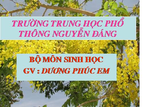 Bài 26. Cảm ứng ở động vật