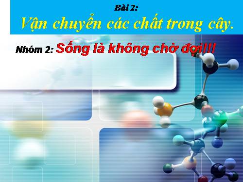 Bài 2. Vận chuyển các chất trong cây