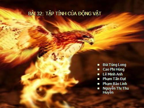 Bài 32. Tập tính của động vật (tiếp theo)