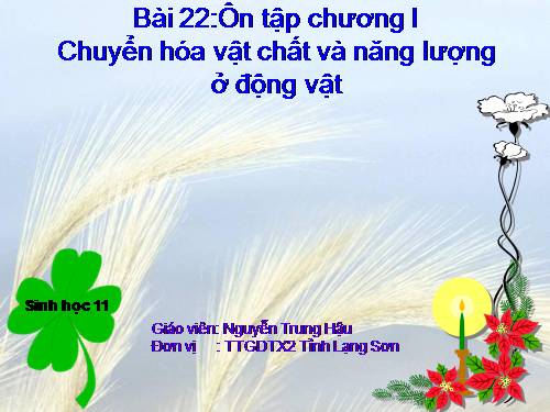 Bài 22. Ôn tập chương I