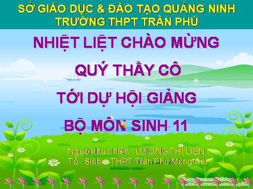 Bài 17. Hô hấp ở động vật