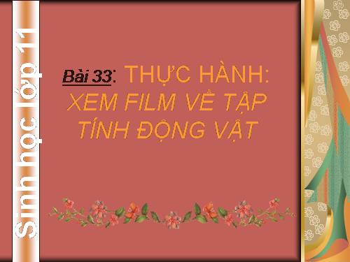 Bài 33. Thực hành: Xem phim về tập tính của động vật