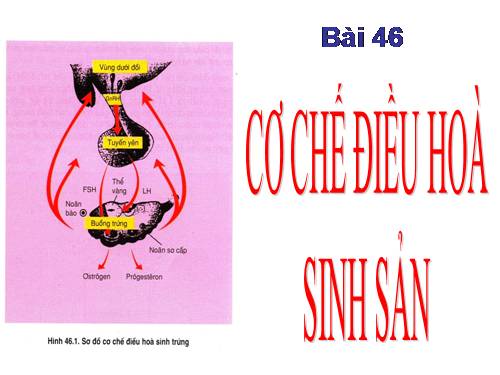 Bài 46. Cơ chế điều hòa sinh sản