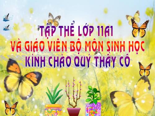 Bài 22. Ôn tập chương I