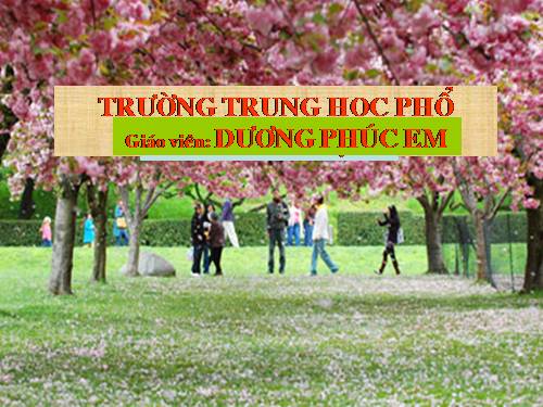 Bài 27. Cảm ứng ở động vật (tiếp theo)