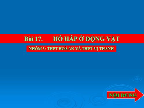 Bài 17. Hô hấp ở động vật