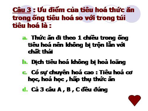 Bài 16. Tiêu hoá ở động vật (tiếp theo)