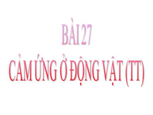 Bài 27. Cảm ứng ở động vật (tiếp theo)